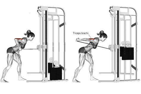 Cable Tricep Kickbacks: Muscles Worked, How To Do and Tips